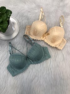 سوتین اسفنجی هارنس دار کد 8819